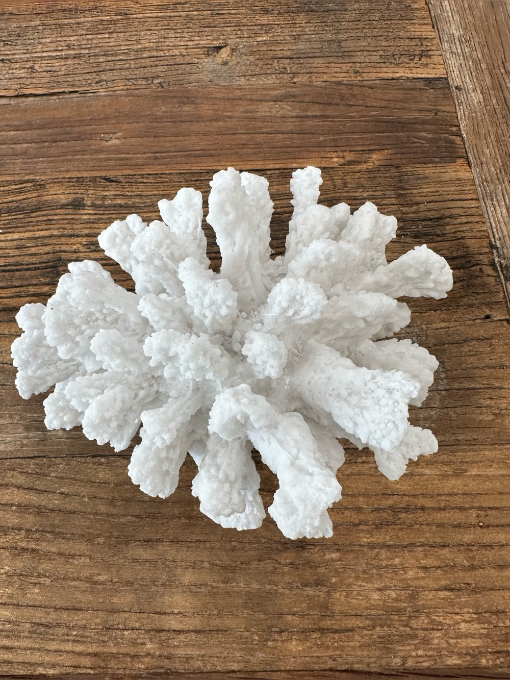 White Decorative Coral Accent Piece